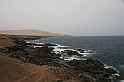Kanary_2010 029